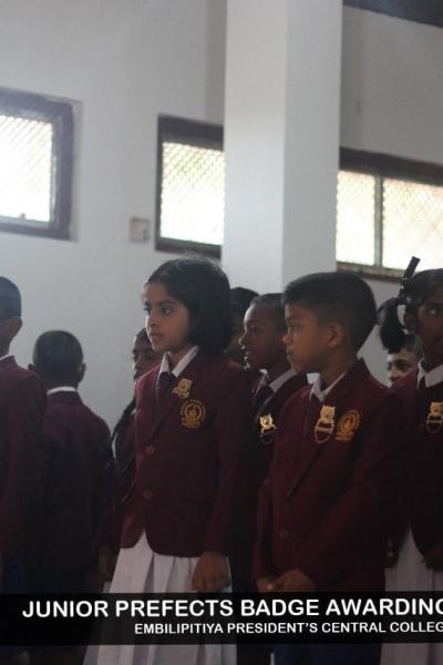 375733515 273614502194666 5975840094026040754 N Y Thumb