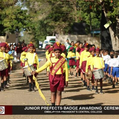 375750619 273612995528150 7602431331841896210 N Thumb